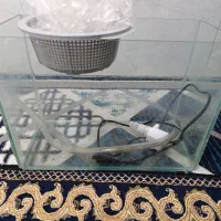 آکواریوم  تصفیه