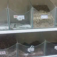 جا ادویه ای ،جا شکلاتی شیشه ای