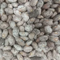 حبوبات ایرانی|خوردنی و آشامیدنی|تهران, مسعودیه|دیوار