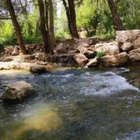 تور یک روزه شش پیر فقط بانوان
