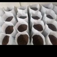 قهوه 100روبستا 100گرمی 195