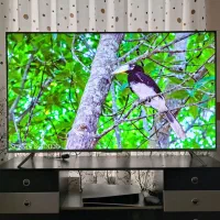 تلویزیون ۶۵ اینچ شیائومی Q2 QLED 4K در حد نو