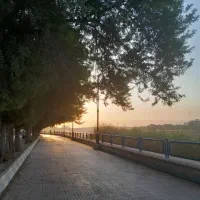 ملک اردیبهشت میرزای عالم