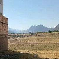 زمین-بهاران8-پاپی-خالدار