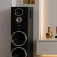 یک جفت باند مارشال نو