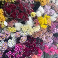 فروشنده برای نمایشگاه گل و گیاه یزد