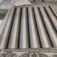 پرده زبرا درحد