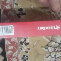 پاور بانک