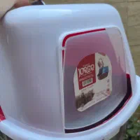 ظرف خاک گربه