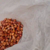 سنجد آسیابی تمیز بدون کرم قیمت ۱۰۵۰۰۰تومن