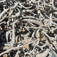 چوب شومینه ای خشک خشک