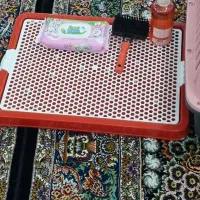 توی دل