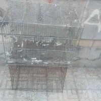 دوعدد قفس پرنده