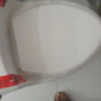 توالت فرنگی
