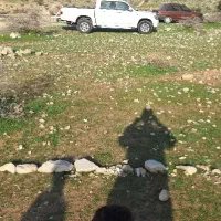 زمین مسکونی  القچین پشت کارواش کبوتری