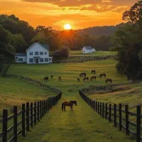 پیمانکاری ۰ تا ۱۰۰ ساختمان