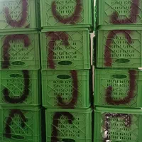 سبد مرغی|عمدهفروشی|بندر ترکمن, |دیوار