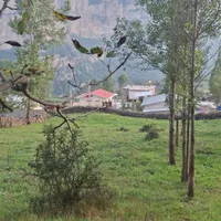 فروش زمین مسکونی در روستای هریجان جاده چالوس|فروش زمین و ملک کلنگی|تهران, لویزان|دیوار
