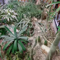 زمین باغ