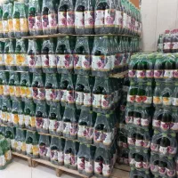 پخش عمده مواد غذایی دلستر اسکای