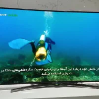 تلویزیون سامسونگ ۵۵اینچ