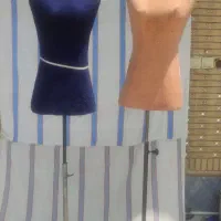 مانکن سوزن خور