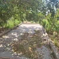 باغ-بلواردانشگاه