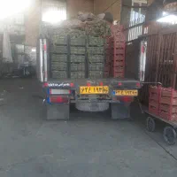 جک آراز ۵۳۰۰