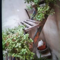 اجاره خونه ویلایی