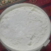 کره گوسفندی