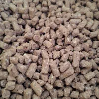 کنسانتره یا خوراک دام ویژه پرواری