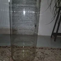 اکواریوم استوانه ای همراه ۳ماهی و سهره کرمان بخون
