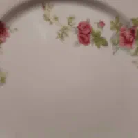 بشقاب گل سرخ پارچ