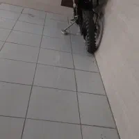 تریل ۲۵۰