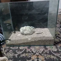 آکواریم شرکتی