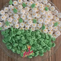 قند ونبات رنگی و گیاهی