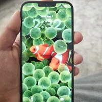 iPhone 13 pro max در حد|موبایل|بندرعباس, |دیوار