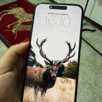 iphone15 poromax