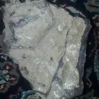 شجر|جواهرات|شیراز, گلکوب|دیوار