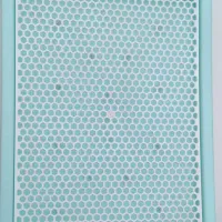 جای دستشویی سگ