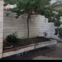 ویلایی-امامت