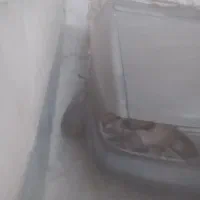 پراید تصادفی