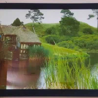 تابلوطبیعت چراغ دار