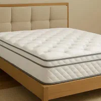 تشک و خوشخواب جشنواره باورنکردنی امروز تحویل بگیر