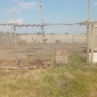 خانه