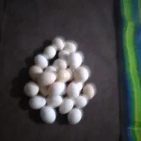 تخم مرغ محلی