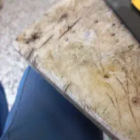 یخچال