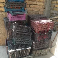 سبد میوه