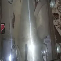 دوقل ارتشی