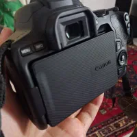 canon 250d
